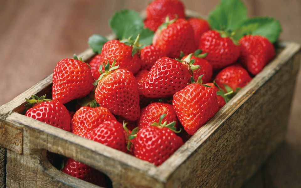 湘潭白癜风患者能吃草莓吗？